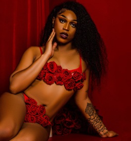 XVixen